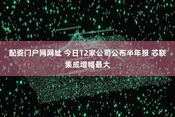 配资门户网网址 今日12家公司公布半年报 芯联集成增幅最大