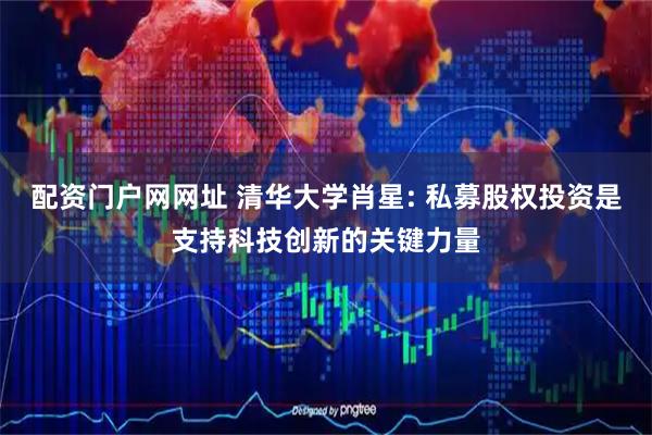 配资门户网网址 清华大学肖星: 私募股权投资是支持科技创新的关键力量